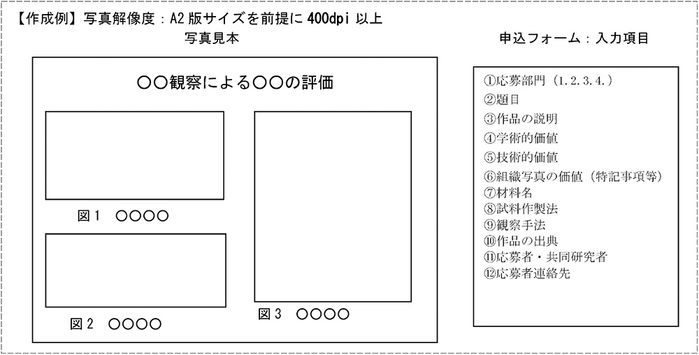 作成例